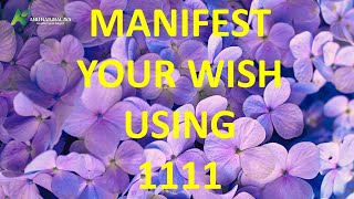 MANIFEST YOUR WISH USING 1111 [upl. by Eboj107]