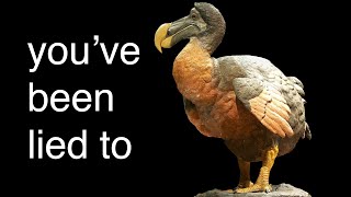 The REAL reason The Dodo Went Extinct [upl. by Skell]