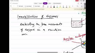 Immobilisation of Enzymes [upl. by Addi]