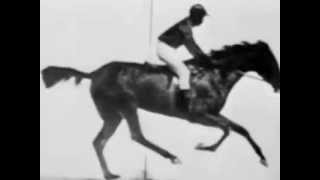 Eadweard Muybridge Sallie Gardner at Gallop 1878 [upl. by Yvette]