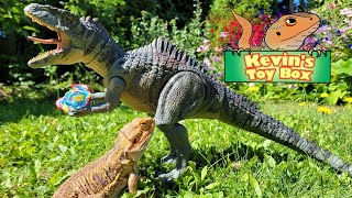 Hammond Collection Giganotosaurus  Kevins Toy Box  Episode 8 [upl. by Alyakem902]