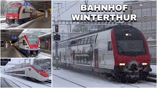 Züge beim Bahnhof Winterthur  Trains at Winterthur station 2023 [upl. by Nanda]