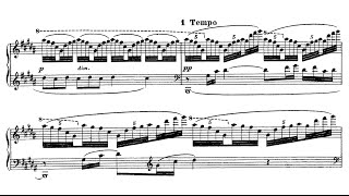 Claude Debussy ‒ Estampes [upl. by Haem816]