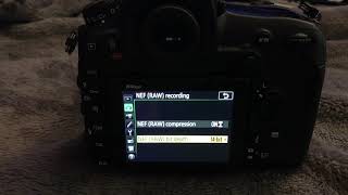 😎NIKON D850 The REAL RAW BUFFER depth [upl. by Munford]