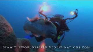 THE WORLDS BEST DIVE DESTINATIONS [upl. by Ackerley752]