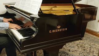 Bechstein IV vs Bösendorfer 200 Liebestraum Liszt [upl. by Eardnaed]