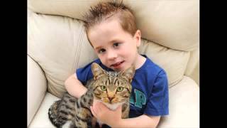 Heroic Pets Cat Protects 5 Year Old Boy From Bullies Dog Saves Deaf Owner From a House Fire [upl. by Nelli]