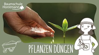 3 Minuten damits blüht Pflanzen düngen [upl. by Anyt]