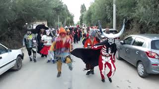 Carnaval en TARIJA BOLIVIA comparsa la caprichosa5 [upl. by Elyk]