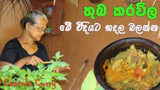 තුබ කරවිල හදන්නේ මෙහෙමයි  Cantola recipe with English subtitles  Aththammai mmai thuma karawila [upl. by Akimrej]