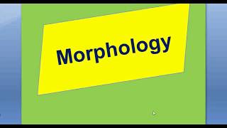 Morphology  lesson 2 Free Morphemes and Bound Morphemes [upl. by Nossaj805]