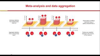 Pharmacometrics Symposium Applied Metaanalysis in Drug Development [upl. by Nevaeh]