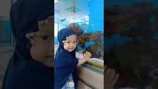 Lihat ikan d aquarium [upl. by Murat715]