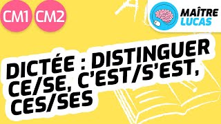 Dictée  distinguer sanssen cese cestsest cesses CM1  CM2  Cycle 3 FrançaisOrthographe [upl. by Airtap]