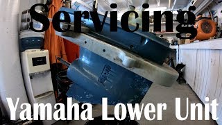 How to Service a Yamaha Lower Unit Gear Case Impeller Driveshaft Seals [upl. by Jevon744]