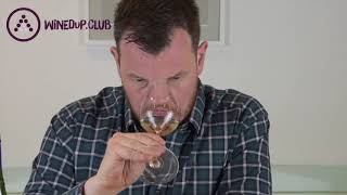 Wine Review Aldi Picpoul de Pinet [upl. by Acino]