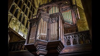 Organ Recital at Sherborne Abbey Dorset January 2023 [upl. by Lupien]