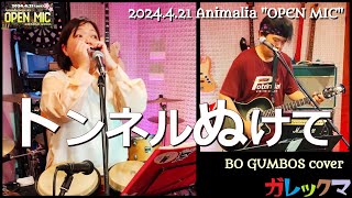 トンネルぬけてBo Gumbos coverガレックマ 2024421 [upl. by Rashidi]