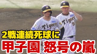 【当てすぎやろ怒】森下に2試合連続デッドボールで怒号連発の甲子園 2024914 [upl. by Thaxter321]