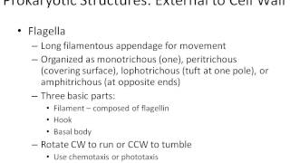 Microbiology chapter 4 part 1 [upl. by Aicatan401]