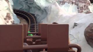 Expedition Everest Roller COASTER First Person [upl. by Airottiv]