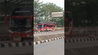 AGRA MASMENUJU TERMINAL PULOGEBANGbusindonesia automobile busmania [upl. by Reel915]