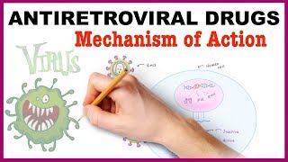 Opioid Drugs Part 1 Mechanism of Action [upl. by Mercedes]