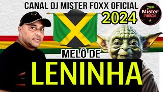 Melô De Leninha 2024  Reggae Remix [upl. by Akinna]