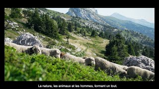 Moi le Pastoralisme 🐑🐮 [upl. by Atilrac]