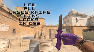 All Ursus Knife Skins in CS2 [upl. by Nasar]