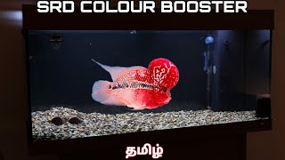 SRD FLOWERHORN COLOUR BOOSTING TECHNIQUESதமிழில்  GROOMING  aquarium [upl. by Negyam]