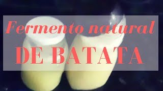 COMO FAZER FERMENTO NATURAL DE BATATA [upl. by Laefar]