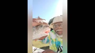 Catch Clean and Cook  Chesapeake Bay Fish Kingfish Whiting [upl. by Davin121]