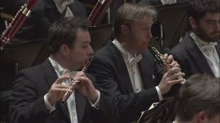 Valery Gergiev conducts the Berlin Philharmonic in Mussorgskys Pictures at an Exhibition [upl. by Ernie]