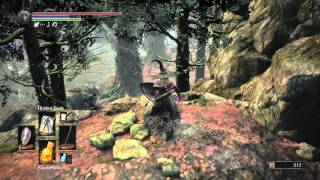 DARK SOULS 3  Farron Coal location [upl. by Sinai208]