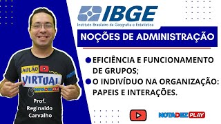 Eficiência e Funcionamento de Grupos  IBGE [upl. by Eiten218]