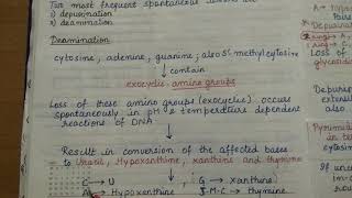 Molecular Mechanism of Mutation Gene mutation 2 [upl. by Marie]