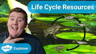 Life Cycles for KS2 [upl. by Idnac]