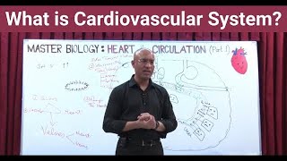 What is Cardiovascular System  Circulatory System  Biology  NEET  GCSE [upl. by Aihsotan]