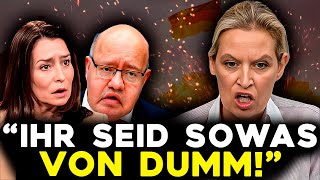 ES GEHT VIRAL Alice Weidel LACHTE alle Teilnehmer der Talkshow AUS [upl. by Bowe421]