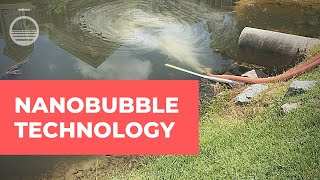 Control Algae with Nanobubble Technology [upl. by Teressa701]