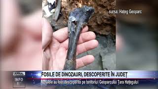 FOSILE DE DINOZAURI DESCOPERITE ÎN JUDEȚ [upl. by Enrica]