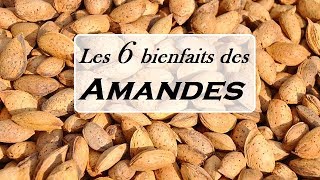 Les 6 bienfaits des amandes [upl. by Cowles846]