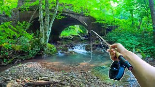 How to Catch MORE Brook Trout  Fly Fishing For Beginners [upl. by Anitsej]