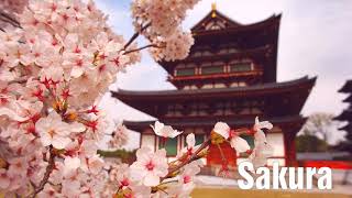 Sakura  Japanese traditional  arr L Sollory [upl. by Rubio]