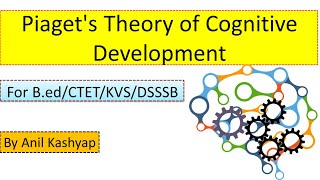 Piagets Theory of Cognitive Development CTETDSSSBKVSBed by Anil Kashyap [upl. by Torrey580]