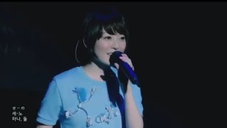 Renai Circulation  Kana Hanazawa  LiVE Concert HD [upl. by Sheilah732]