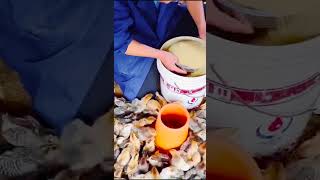 Chicks Feeding System viral cute chicken farming shortsvideo [upl. by Ilke]