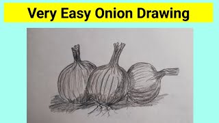 how to draw a onion  Easy onion drawing 3 onions pic drawing [upl. by Nilrac]