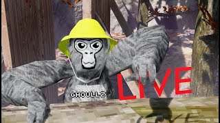 gorilla tag with viewers [upl. by Halladba539]